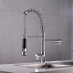 TP03 Pull Down Kitchen Faucet	