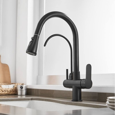 TP01 304 Stainless Steel Kitchen Pull Out Faucet - Black